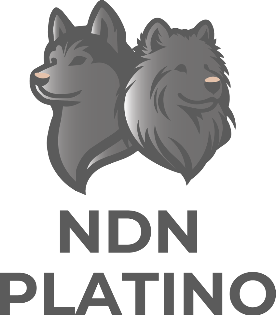 ORO Y PLATINO Mesa de trabajo 1